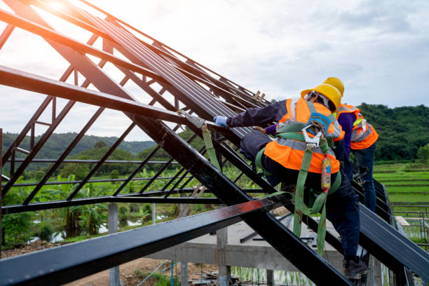 Best Flat Roof Repair Services  in Lewisburg, KY