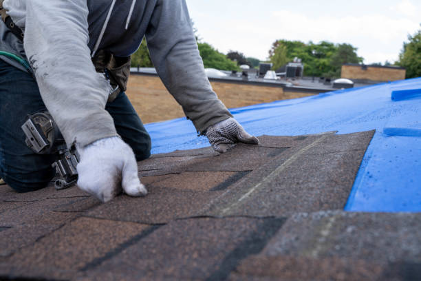 Quick and Trustworthy Emergency Roof Repair Services in Lewisburg, KY