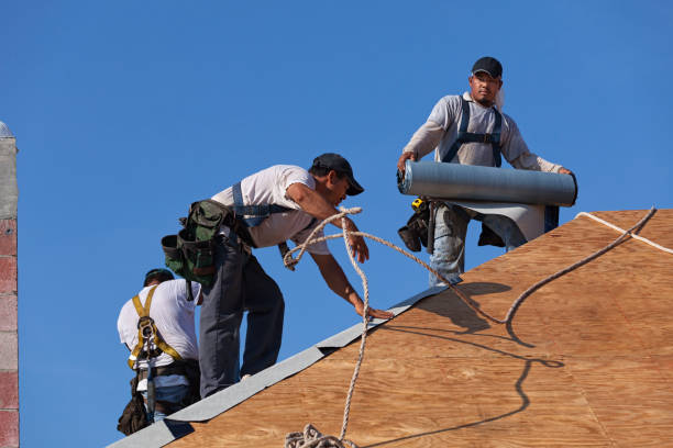 Best New Roof Installation  in Lewisburg, KY